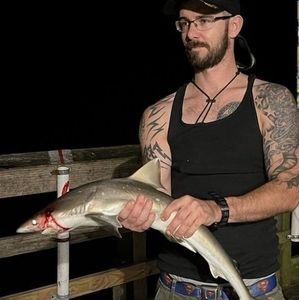 Meet your Posher, Jake